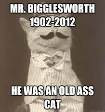 Original Business Cat memes | quickmeme via Relatably.com