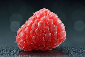 Rubus idaeus - Wikipedia