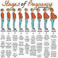 JFF pregnancy memes - December 2015 Babies - WhatToExpect.com via Relatably.com
