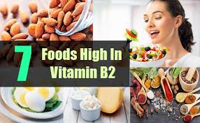 「vitamin b-2」的圖片搜尋結果