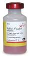rabies vaccines
