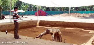 Image result for pattanam excavation