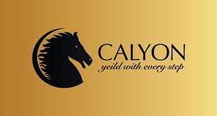 Image result for calyon