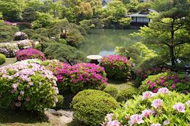 Resultado de imagem para jardins japoneses