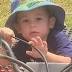 Darling Downs toddler Matthew Vietheer killed in wall collapse