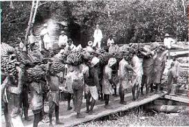 Image result for indian indentured labour