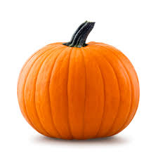 Image result for Pumpkin