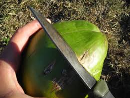 Image result for cutting coconut