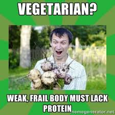 vegetarian? weak, frail body must lack protein - Vegetarian dude ... via Relatably.com
