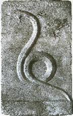 Αποτέλεσμα εικόνας για πιθάρια φίδια