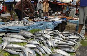 Image result for pasar ikan