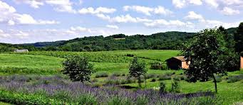 Image result for rolling bucks county hills