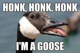 Silly Goose memes | quickmeme via Relatably.com