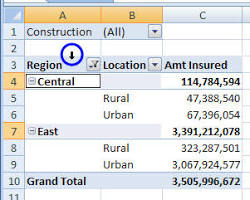 Selecting a Cell in a PivotTable resmi