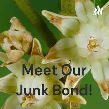 Meet Our Junk Bond!