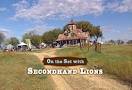 On the Set with 'Secondhand Lions'