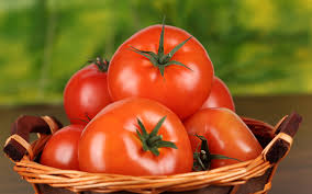 Resultado de imagem para tomates