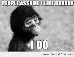 Greatest 21 admired quotes about monkey image French | WishesTrumpet via Relatably.com