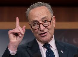 Image result for schumer