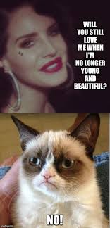 Image tagged in memes,grumpy cat,funny - Imgflip via Relatably.com