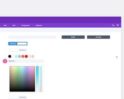 Colors panel in Divi Theme Options