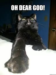 Oh Dear God Cat memes | quickmeme via Relatably.com