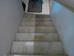 Image result for before and after carpet cleaning pictures