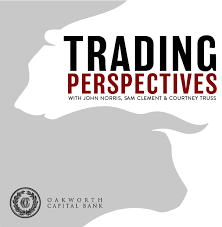 Trading Perspectives: An Economic Podcast