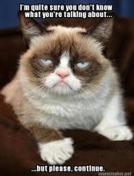 Grumpy Cat on Pinterest | Grumpy Cat Meme, Grumpy Cat Quotes and ... via Relatably.com