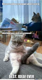 Sophisticated Cat Understands. by captain-odin - Meme Center via Relatably.com