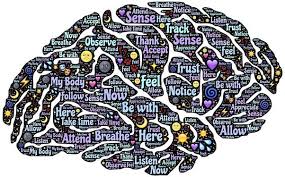 Spiritual Science - The Mind-Brain Connection