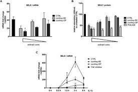 A Symphytum officinale Root Extract Exerts Anti ... - Frontiers