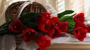 Image result for good night images with red roses