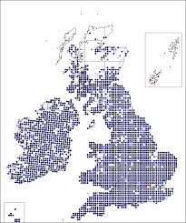 Hypericum tetrapterum | Online Atlas of the British and Irish Flora