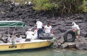 Resultado de imagen para EL ECOSISTEMA DE GALÁPAGOS BAJO AMENAZA