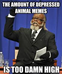The amount of depressed animal memes Is too damn high - Rent Is ... via Relatably.com