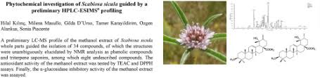 Phytochemical investigation of Scabiosa sicula guided by a ...