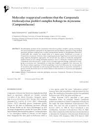 Molecular reappraisal confirms that the Campanula trichocalycina ...