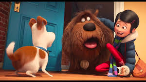 Image result for the secret life of pets