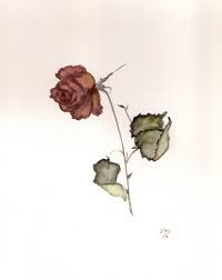 Resultado de imagen de rosas secas