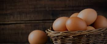 Sauder's Eggs | Family-Owned Egg Wholesaling Business
