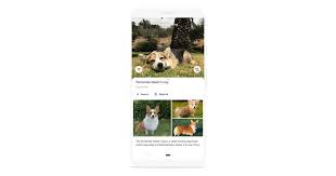Google Lens - Search What You See