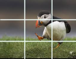 Image result for rule of thirds in photos