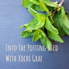 Into The Potting Shed With Xochi Grae