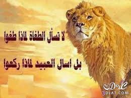 نتيجة بحث الصور عن اجمل صور 2015