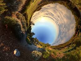 Image result for alice in wonderland rabbit hole