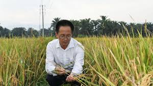 How did Chinese agricultural experts help with rice-farming in Burundi?