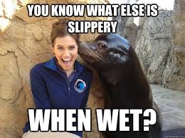 you know what else is slippery when wet? - Crazy Secret - quickmeme via Relatably.com