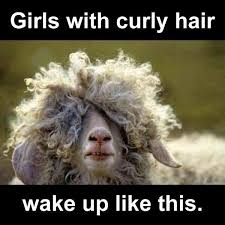 Girls with curly hair - Meme Collection via Relatably.com