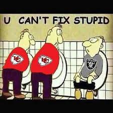 U cant fix stupid | CHIEFS FOOTBALL | Pinterest | Hilarious, Funny ... via Relatably.com